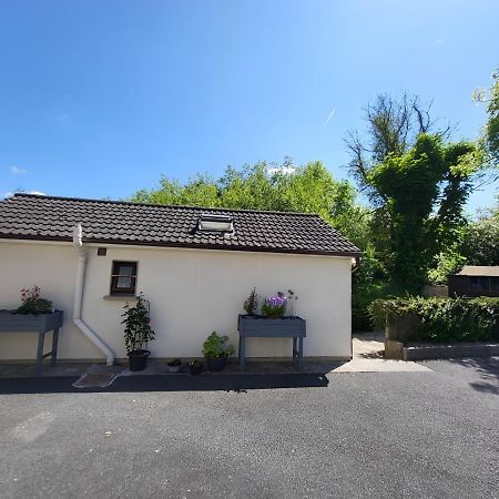 Oak Cottage 3 Km From Rock Of Cashel Cashel  Eksteriør bilde