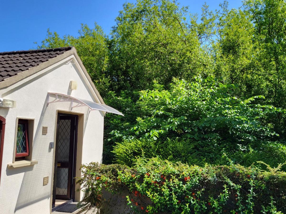 Oak Cottage 3 Km From Rock Of Cashel Cashel  Eksteriør bilde