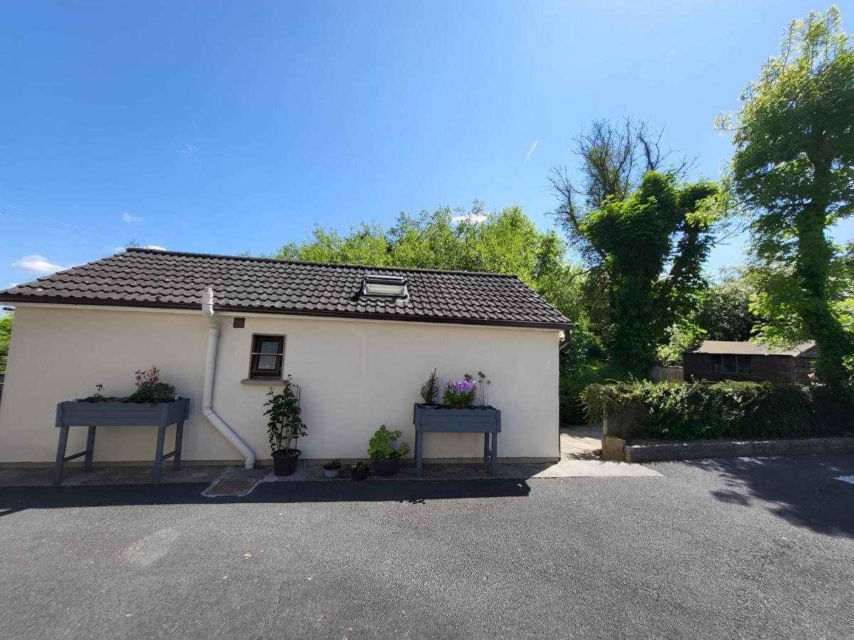 Oak Cottage 3 Km From Rock Of Cashel Cashel  Eksteriør bilde
